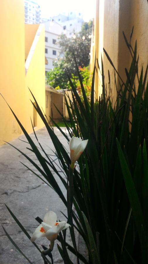 Olah Hostel - Vila Mariana Sao Paulo Dış mekan fotoğraf